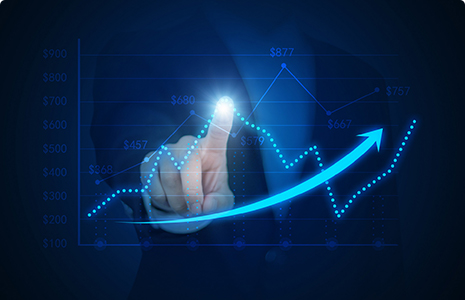 完善制度，规范流程，严格履行信息披露义务